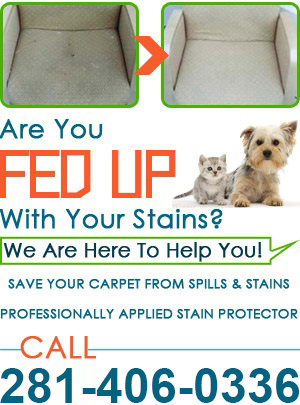 Upholstery Cleaning Services